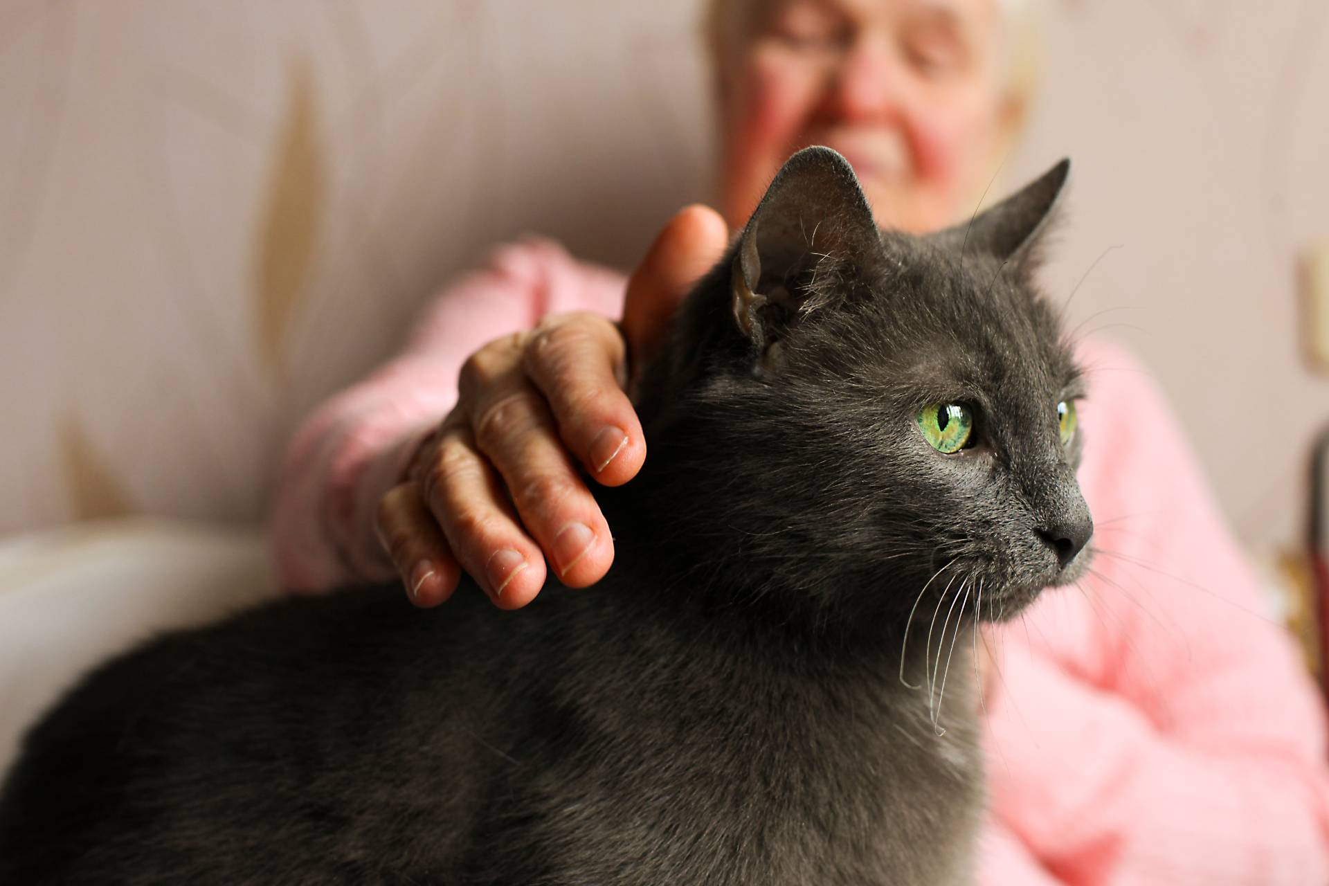 How Pet Therapy Helps People with Dementia Live Engaged, Happier Lives